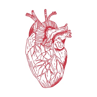 Just an anatomical heart T-Shirt