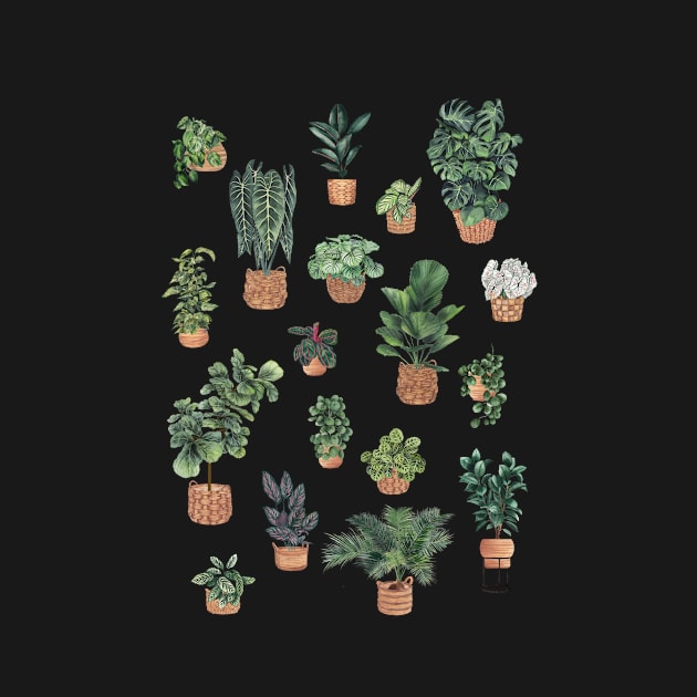 House plants collection by gusstvaraonica