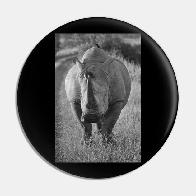 African Rhino Pin by StacyWhite