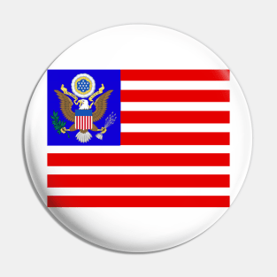 American coat of arms flag Pin