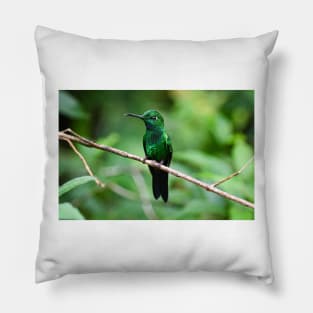 Hummingbird Pillow