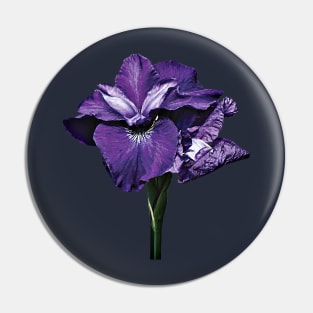 Irises - Iris Caesar Morgan Pin