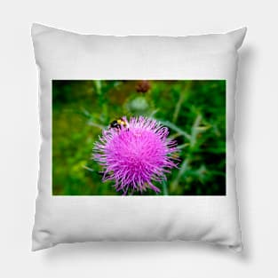 Bee On Pink Flowering Thistle Pillow