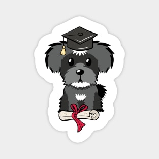 Funny schnauzer is graduating Magnet