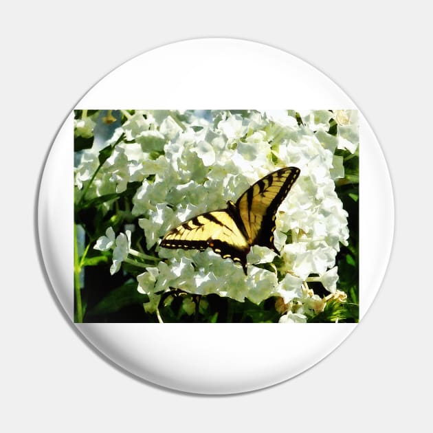 Butterflies - Swallowtail on White Hydrangea Pin by SusanSavad
