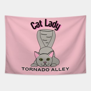 Cat Lady Tornado Alley Tapestry