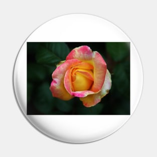 Blooming Rose Pin