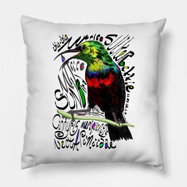 Marico Sunbird, Maricosuikerbekkie Pillow by michdevilish