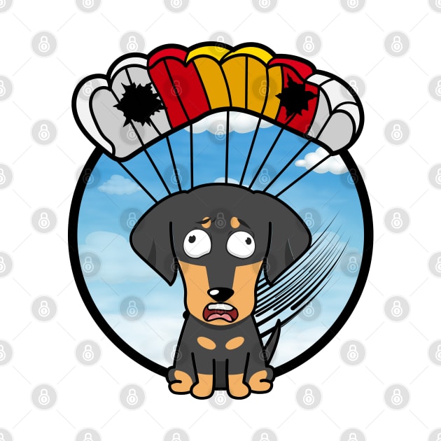 Silly dachshund dog has a broken parachute by Pet Station