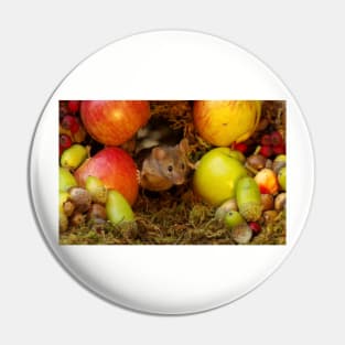 George the mouse in a log pile house - stand back apples super mouse coming through Pin