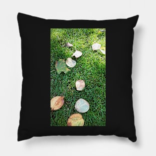 Autumn is here Pillow