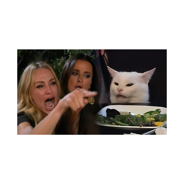 Woman Yelling at a Cat - Meme - T-Shirt | TeePublic