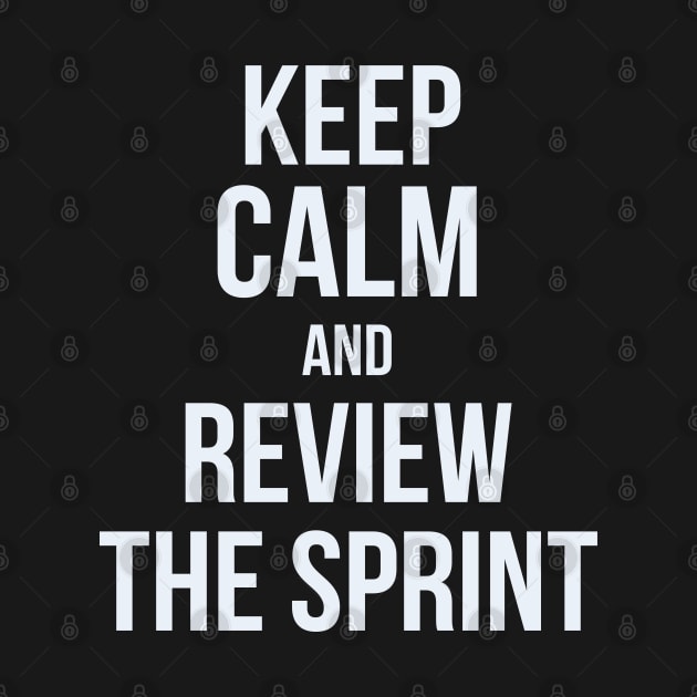 Developer Keep Calm and Review the Sprint by thedevtee