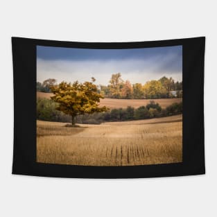 Country Fall Tree  3 Tapestry