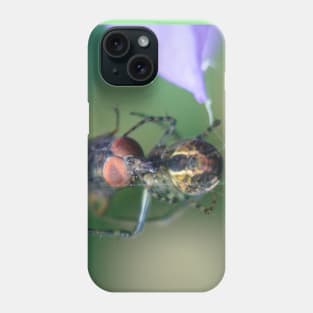 Spider And Fly Phone Case