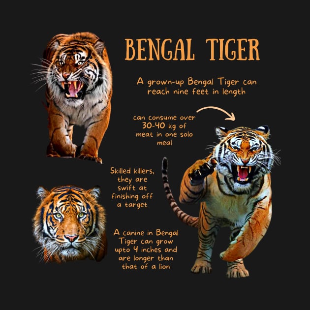 Animal Facts - Bengal Tiger by Animal Facts and Trivias