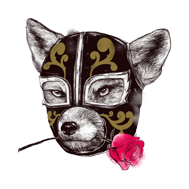 The mask of Zorro Luchador by Madkobra