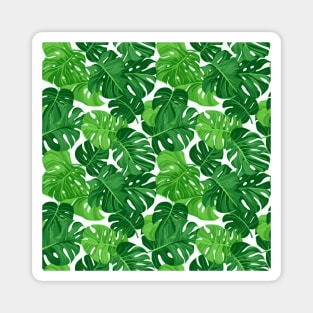 Tropical Minimalism: Monstera Leaf Elegance Magnet