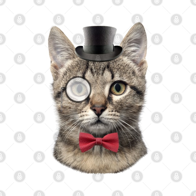 Monocle Cat by madmonkey