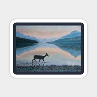 A deer in Montana Glacier Park, USA Magnet