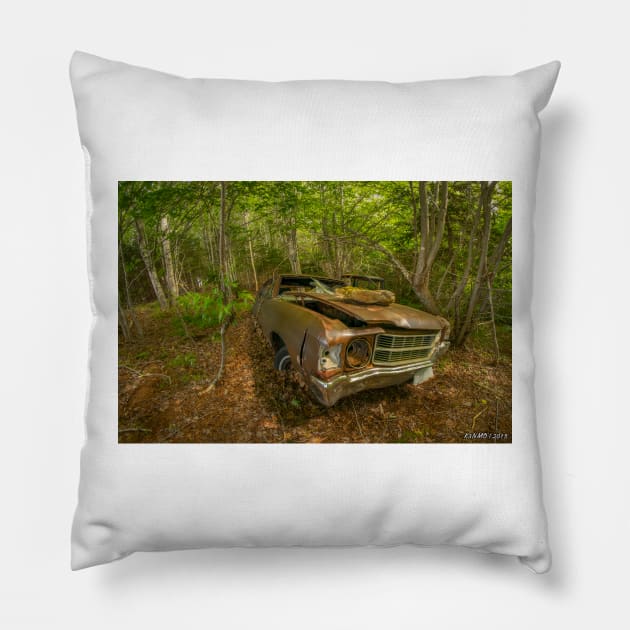 Abandoned Junker in the Woods Pillow by kenmo