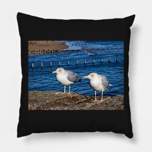 Seagulls Pillow