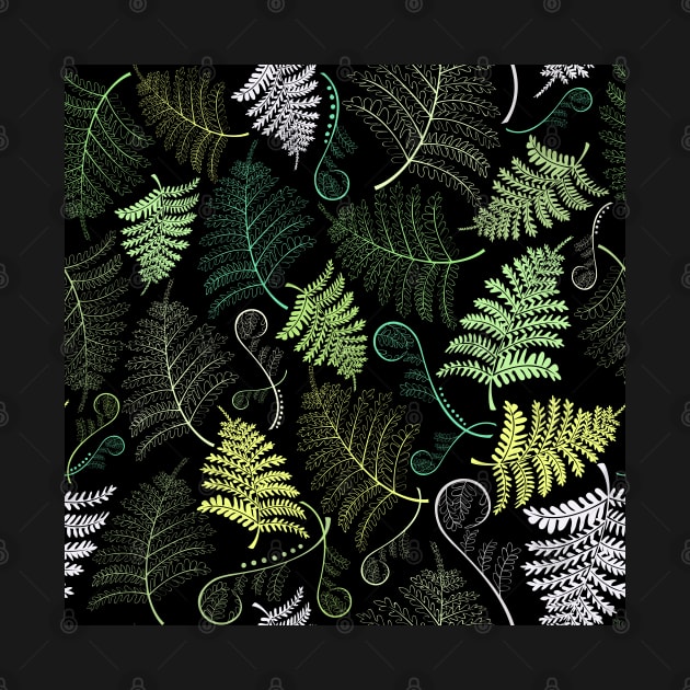 Green fern leaves on black background by Avisnanna