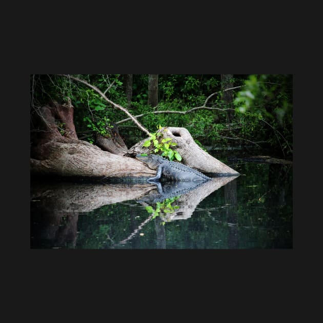 Alligator Cradled In Nature by Cynthia48