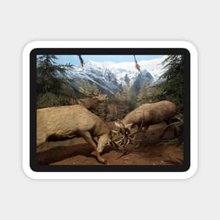 Natural environment diorama - Two deers fighting Magnet