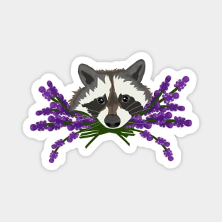 Raccoon with lavender Magnet