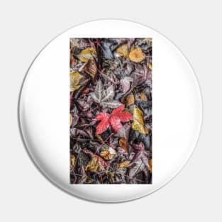 Autumn Leaves Pin