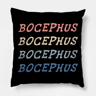 Bocephus Vintage Styles Pillow