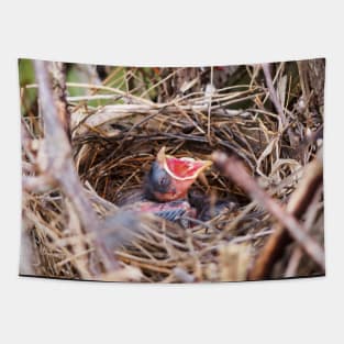 Hungry Baby Northern Cardinal In Its Nest With Its Mouth Wide Opened Tapestry