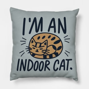 Indoor cat Pillow