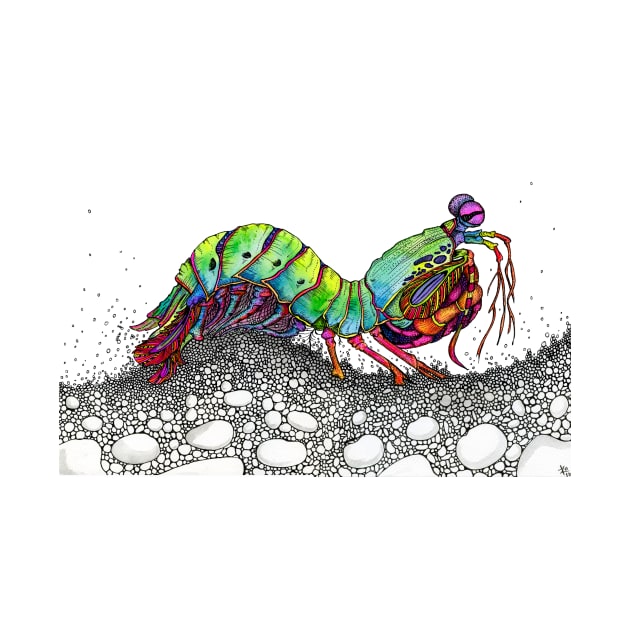 Magnificent Mantis Shrimp! by Zo Draws Stuff