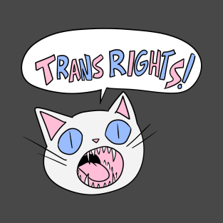 Trans Rights! T-Shirt