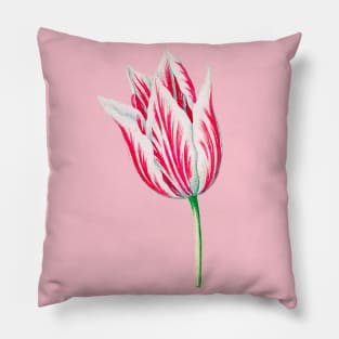 Red and White Dutch Tulip Watercolor Pillow