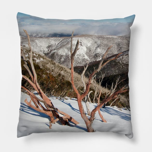 Snow on the mountainside Pillow by jwwallace