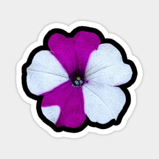 white and purple flower Magnet