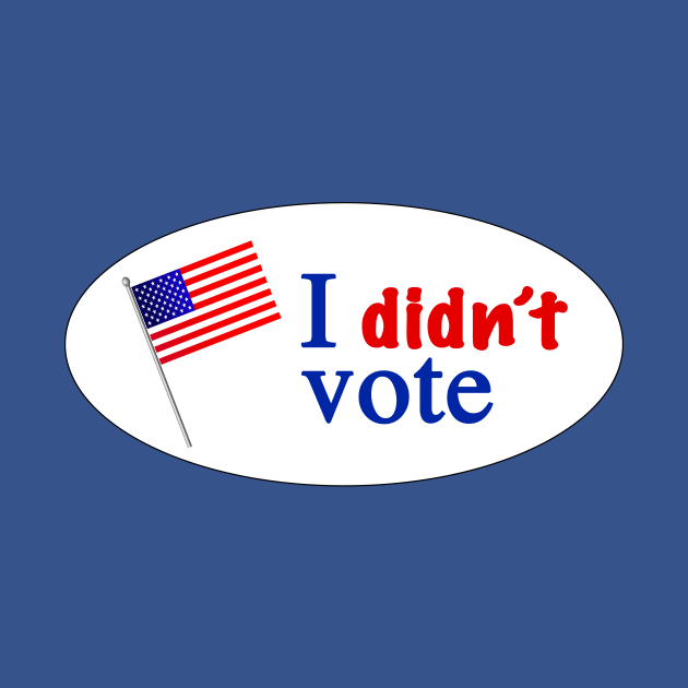 I didnt vote by Soll-E