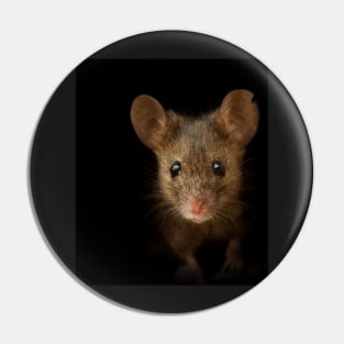 George the mouse in a log pile House art black background Pin