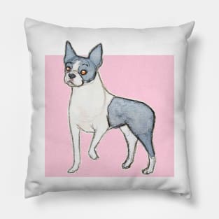 Boston terrier Pillow