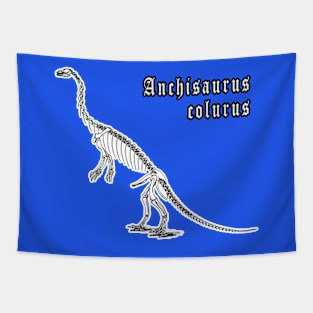 🦖 Fossil Skeleton of Anchisaurus colurus Dinosaur Species Tapestry