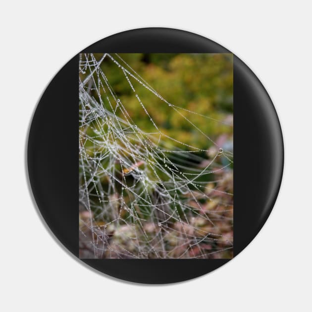 A wet spiderweb Pin by TiiaVissak