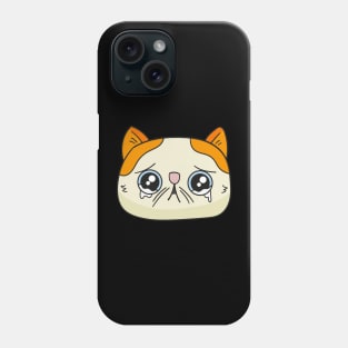 Teary eyed cat Phone Case