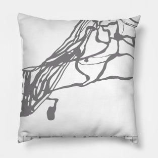 Hunter Mountain Resort 3D Pillow