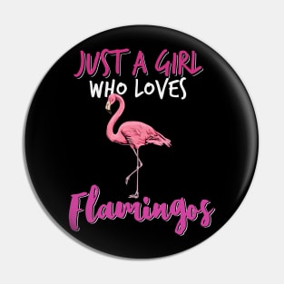 Just a girl who loves flamingos Pin