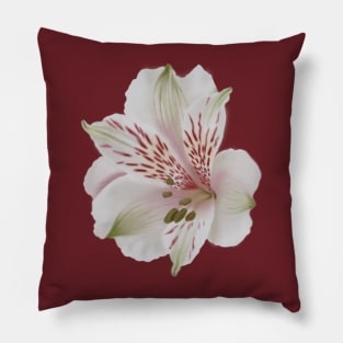 Alstroemeria - Digital Illustration of a Lily of the Incas Flower, floral Pillow