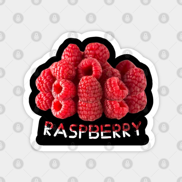 Raspberry Magnet by Aassu Anil