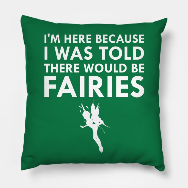 I Was Told There Would Be Fairies Magical Fairy Tale Pillow by FlashMac